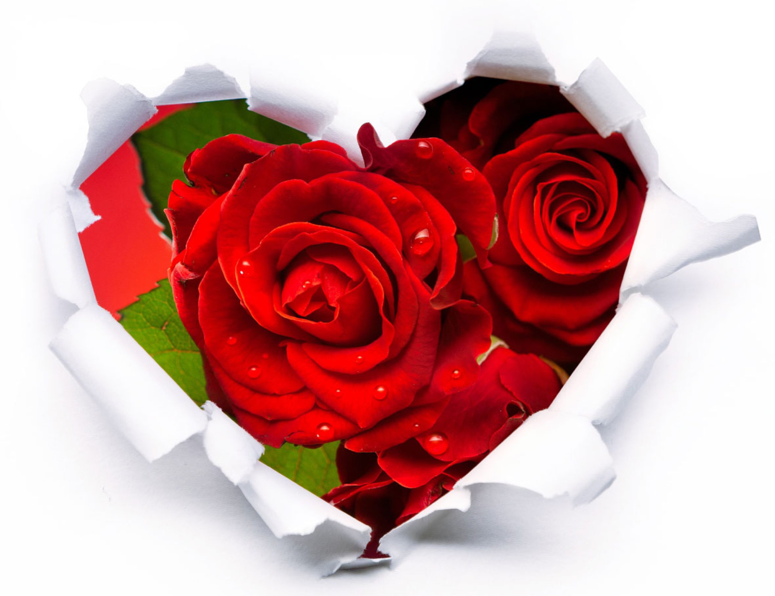 Valentine's Day